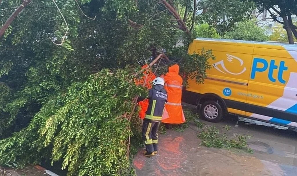 Antalya'da Fırtınaya Dayanamayan Ağaç Araçların Üzerine Devrildi