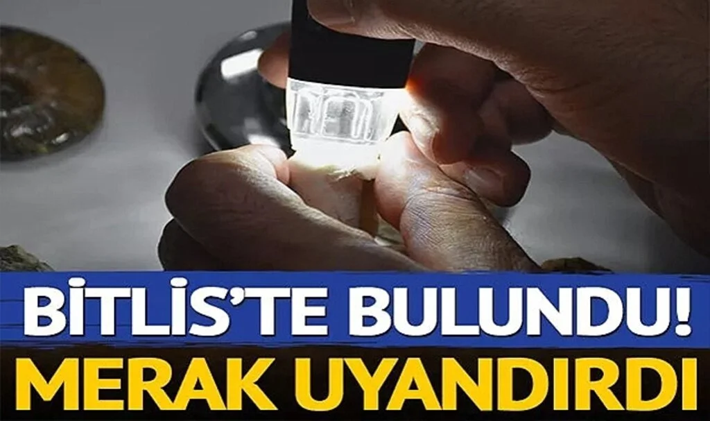 Bitlis’te bulundu, büyük merak uyandırdı! Milyonlarca yıl öncesine ait olduğu düşünülüyor