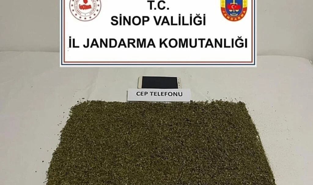 Boyabat’ta Bonzai Operasyonunda 1 Kişi Yakalandı