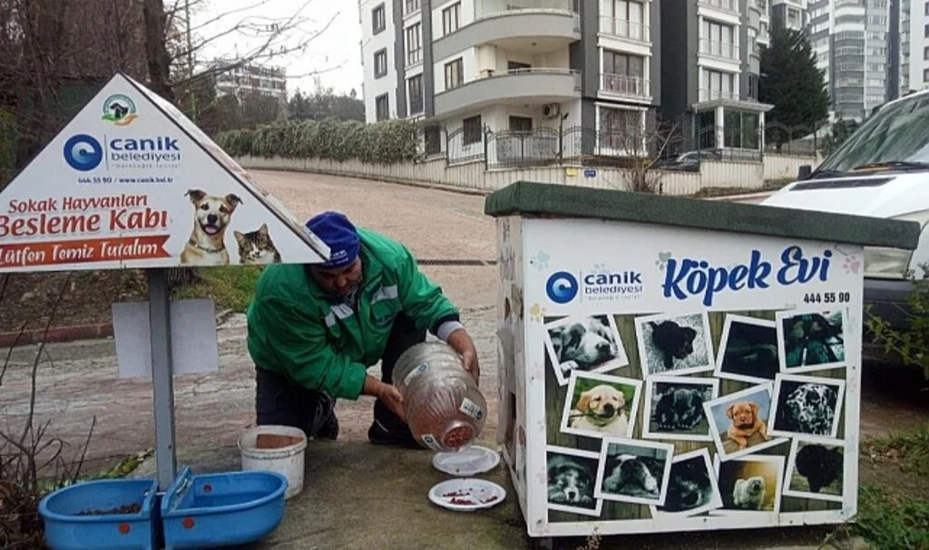 Canik Belediyesi Can Dostları Yalnız Bırakmıyor