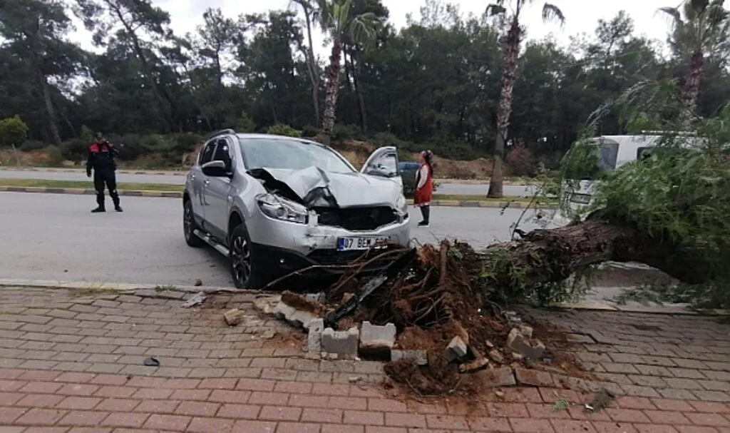 Kontrolden çıkan aracın kaldırımdaki ağacı yerinden söktü: 1 yaralı