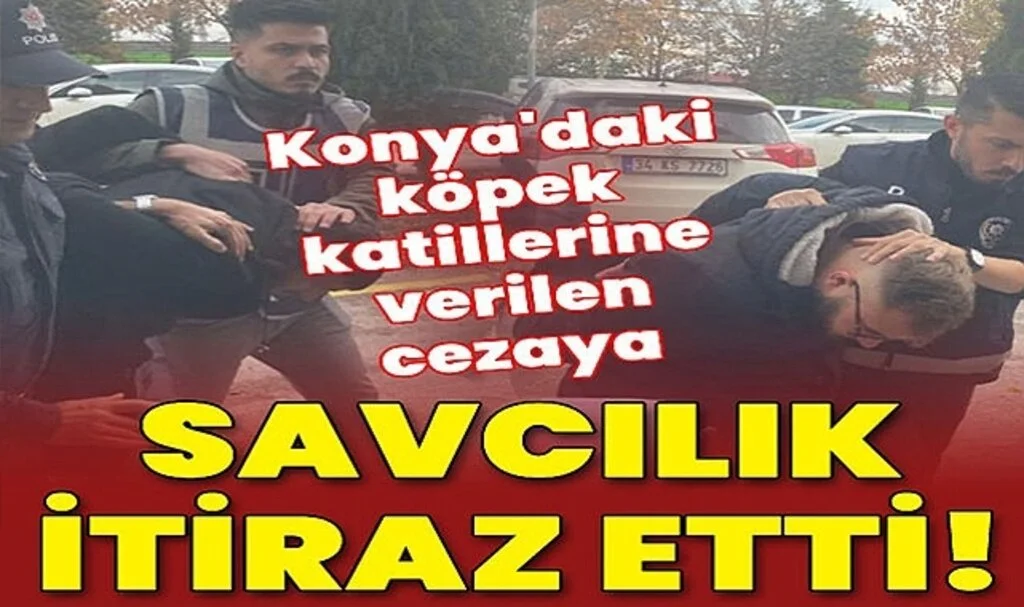 Konya'daki Köpek Katillerine Verilen Cezaya Savcılıktan İtiraz!