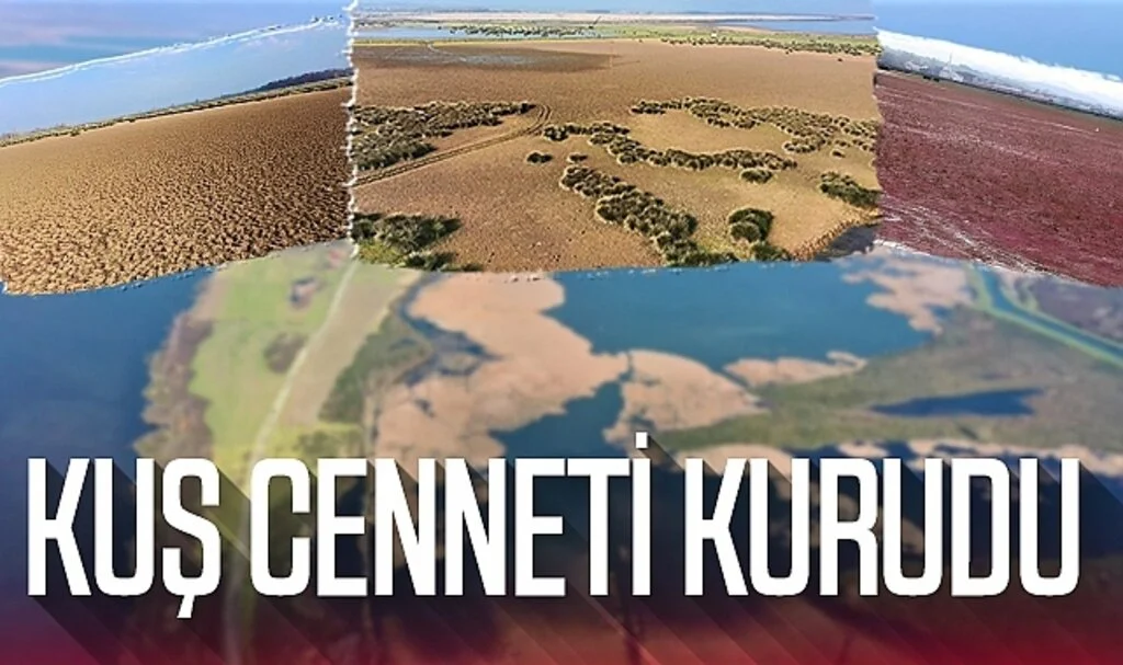 Kuş Cenneti Kurudu