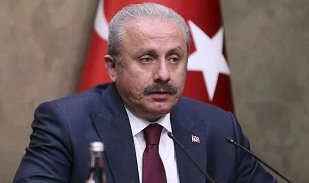 Lozan Antlaşması'nda Gizli Madde İddialarına İlişkin Şentop'tan Açıklama