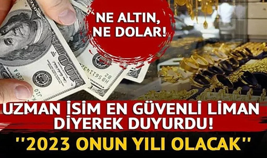 Ne Altın Ne Dolar! Uzman İsim En Güvenli Liman Diyerek Duyurdu!