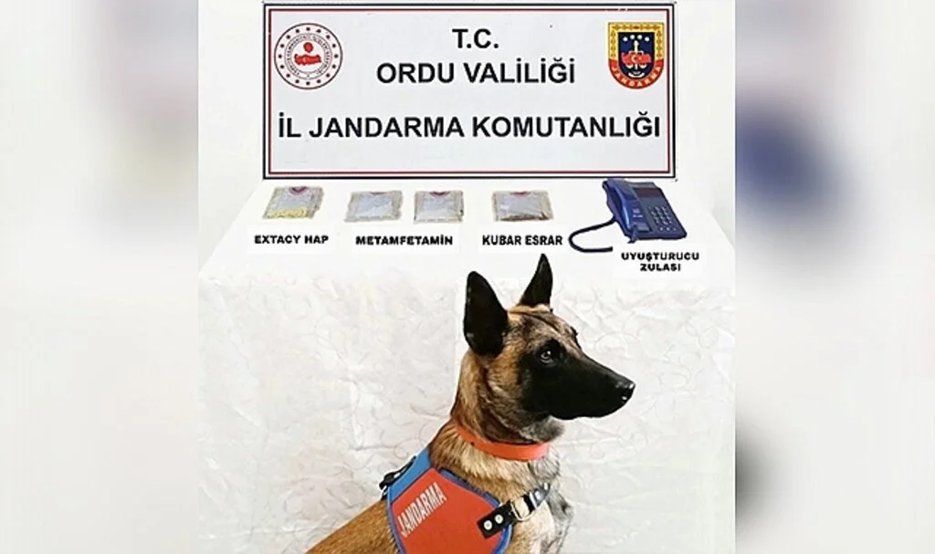 Ordu’da Sabit Telefonu Uyuşturucu Zulası Yapmışlar