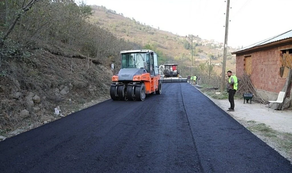 Ordu Kırsalında  Hummalı Çalışma 