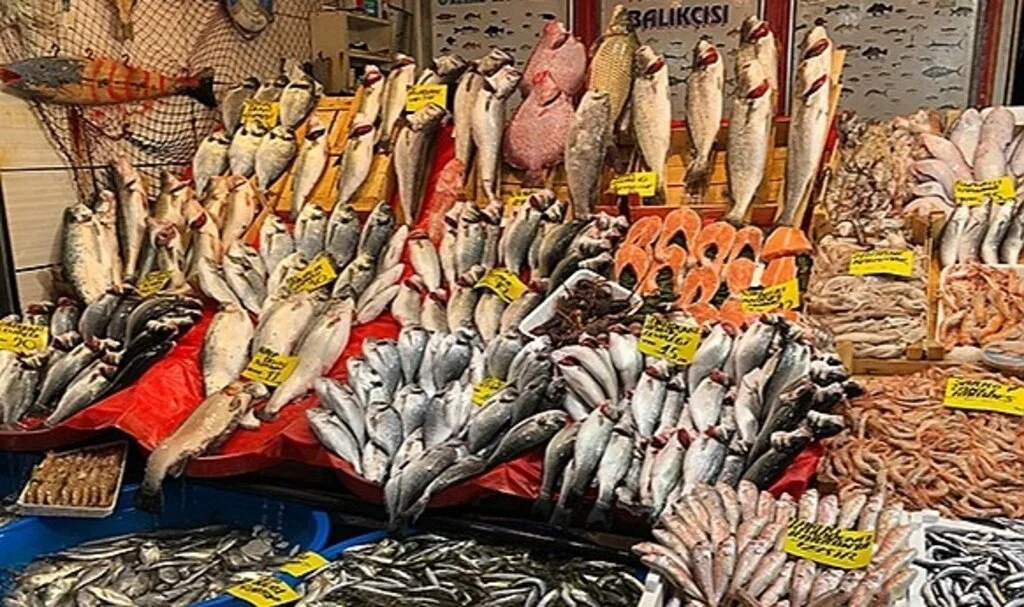 Samsun'da Balık Fiyatları