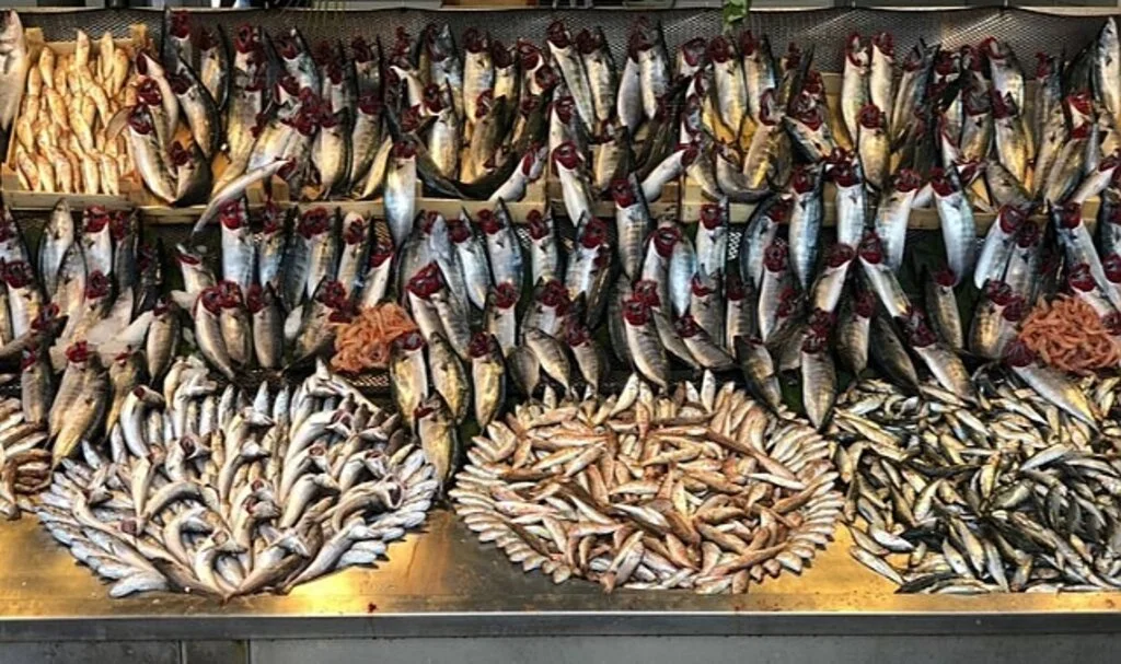 Samsun'da Balık Fiyatları