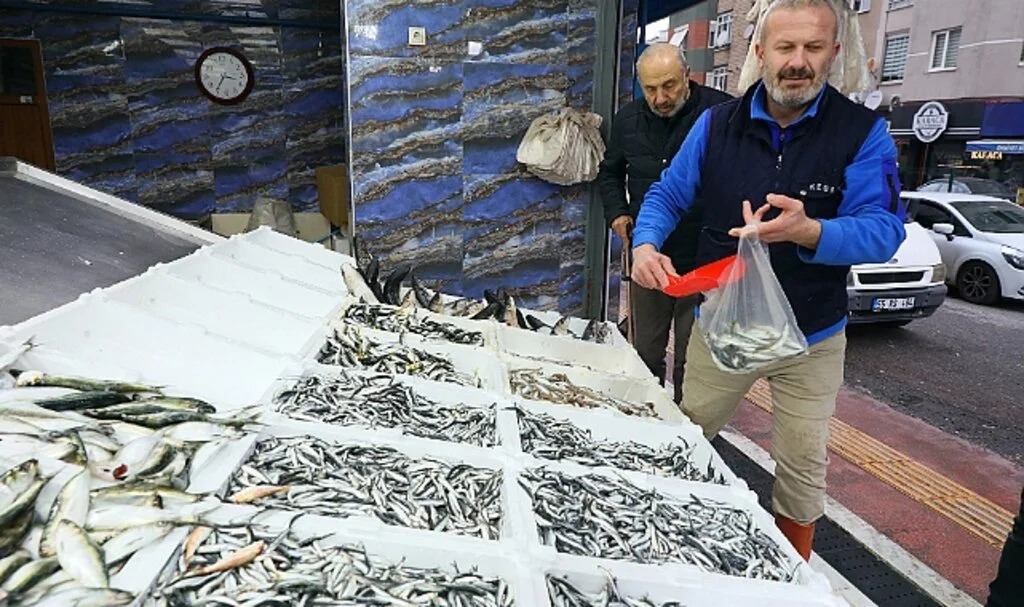 Samsun'da Balıkçılar Sezondan Memnun