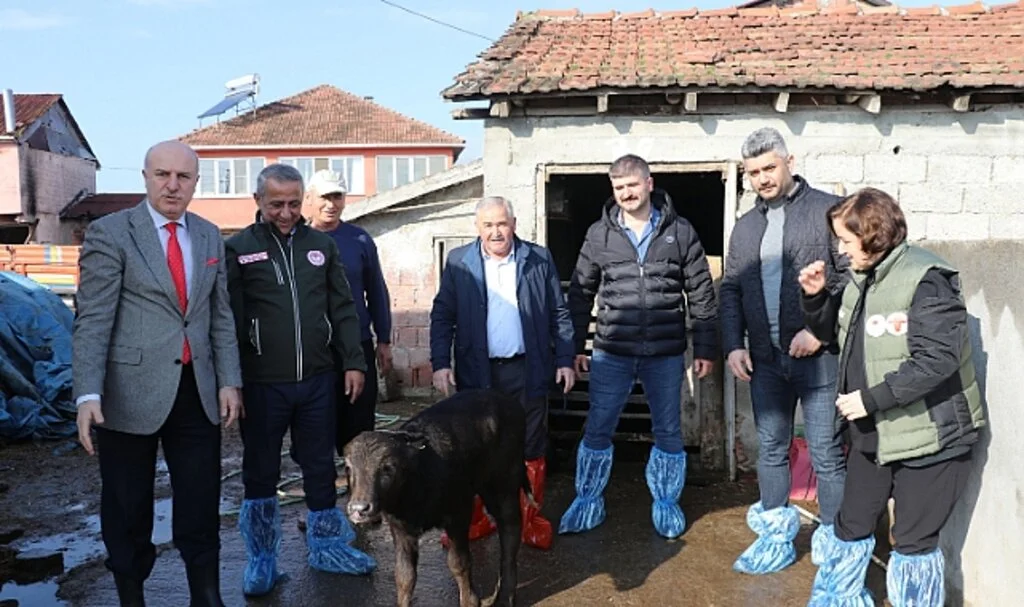 Samsun'da Besicilere Suni Tohumlama Desteği 
