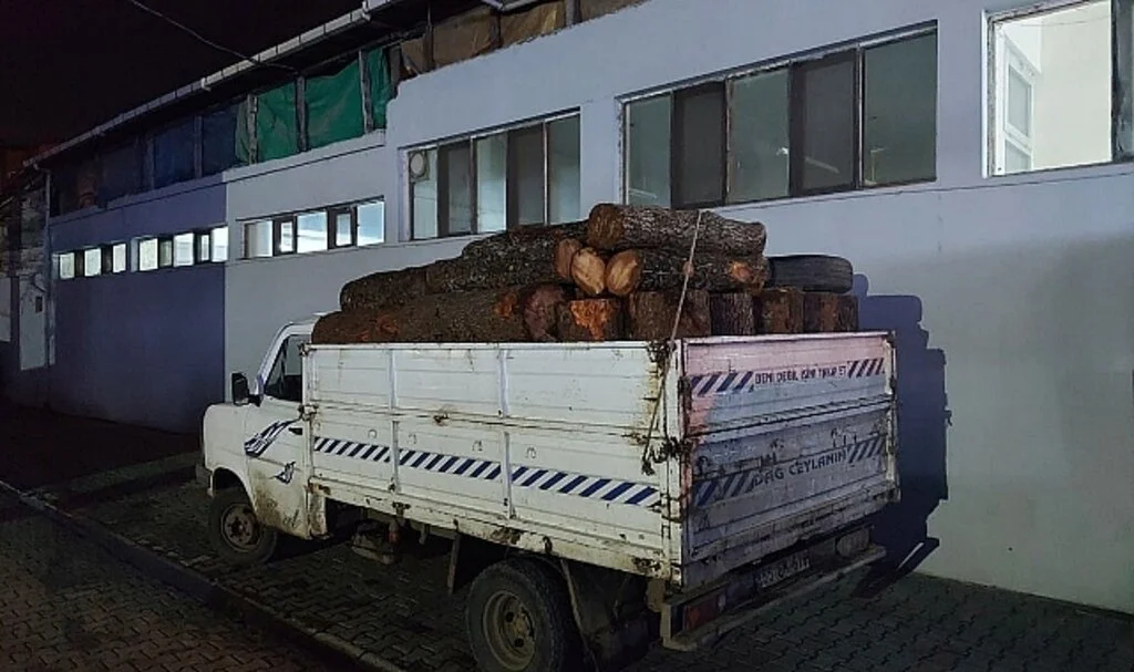 Samsun'da Kaçak Kesilmiş 7 Ton Odun Ele Geçirildi 