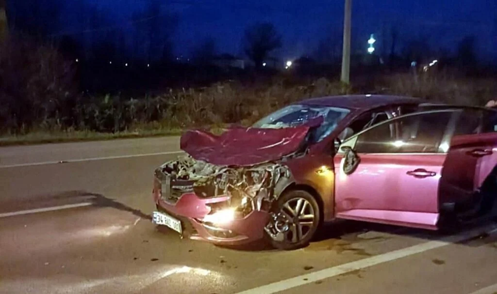 Samsun'da Karayolunda Başıboş Gezen İnekler Faciaya Neden Oluyordu
