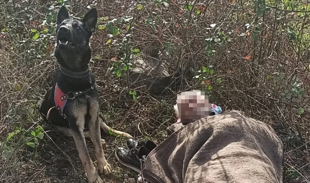 Samsun'da Kayıp Kişi İz Takip Köpeğinin Yardımıyla Bulundu