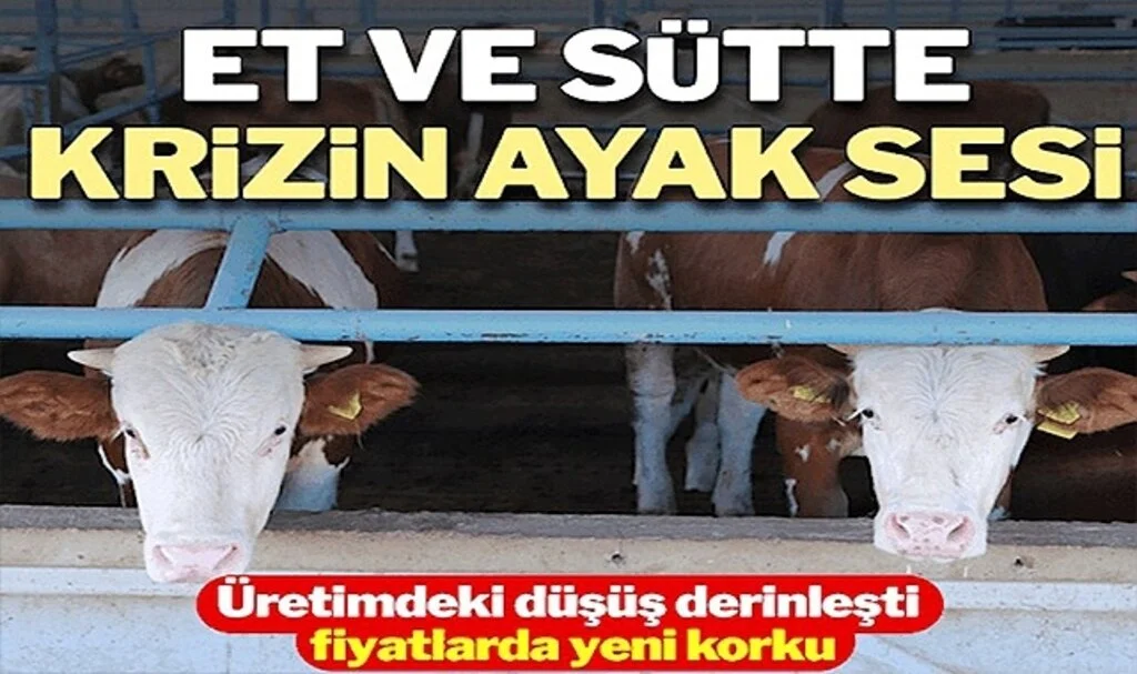 Süt ve Süt Ürünleri Üretiminde Sert Düşüş