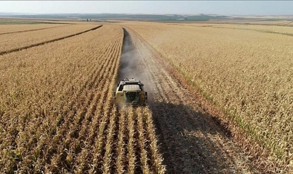 Tarım ÜFE, Aralık 2022'de Aylık Yüzde 4,82, Yıllık Yüzde 151,03 Arttı