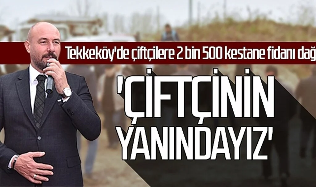 Tekkeköy'de çiftçilere 2 bin 500 kestane fidanı dağıtıldı