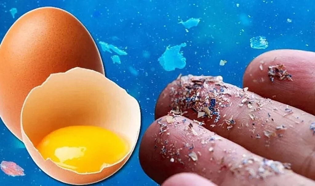 Yumurta Akı Filtresi Mikroplastik Sorununa Çözüm Olabilir Mi?