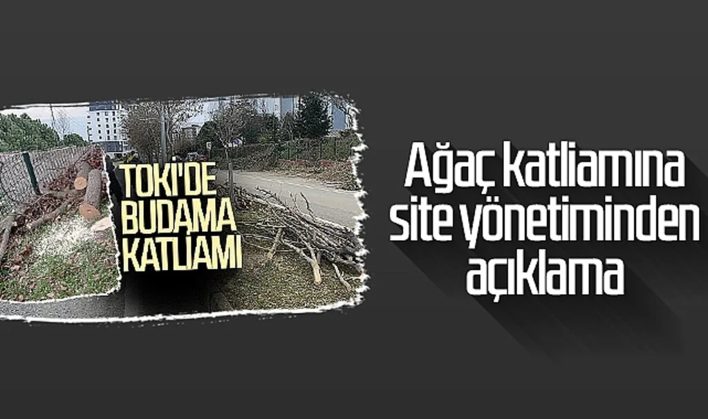 Ağaç katliamına site yönetiminden açıklama
