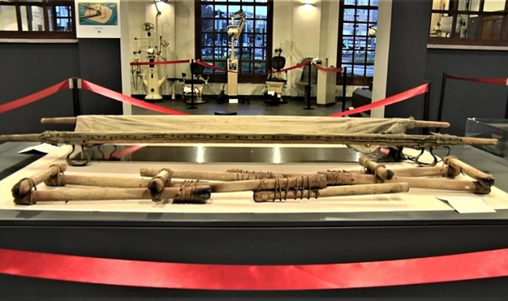Bebek Fetüsleri ilgi odağı