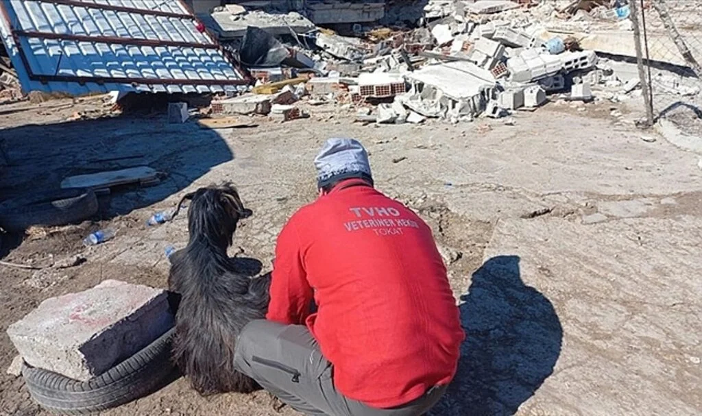 Deprem Nedeniyle Tarım ve Orman Bakanlığının Bazı Mal ve Hizmetleri Ücretsiz Verilecek