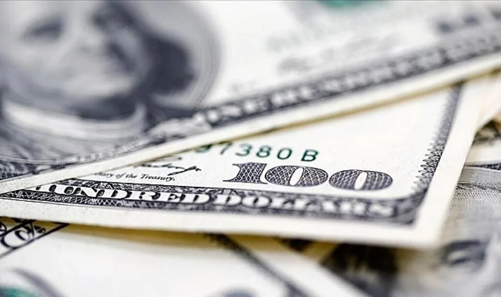 Norveç Varlık Fonu Türkiye'deki Şirketlere 1 Milyar Doları Aşkın Yatırım Yaptı