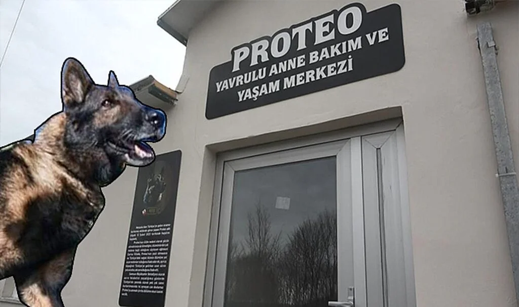 'Proteo'nun İsmi Samsun'da Yaşatılacak