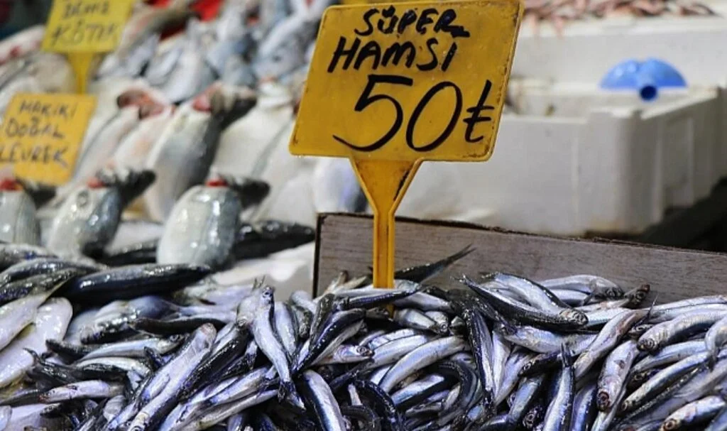 Samsun'da Balık az, ilgi çok