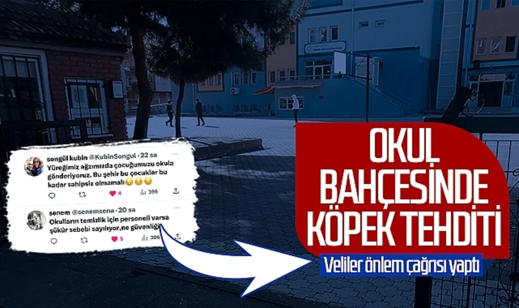 Samsun'da okul bahçesinde köpek tehditi