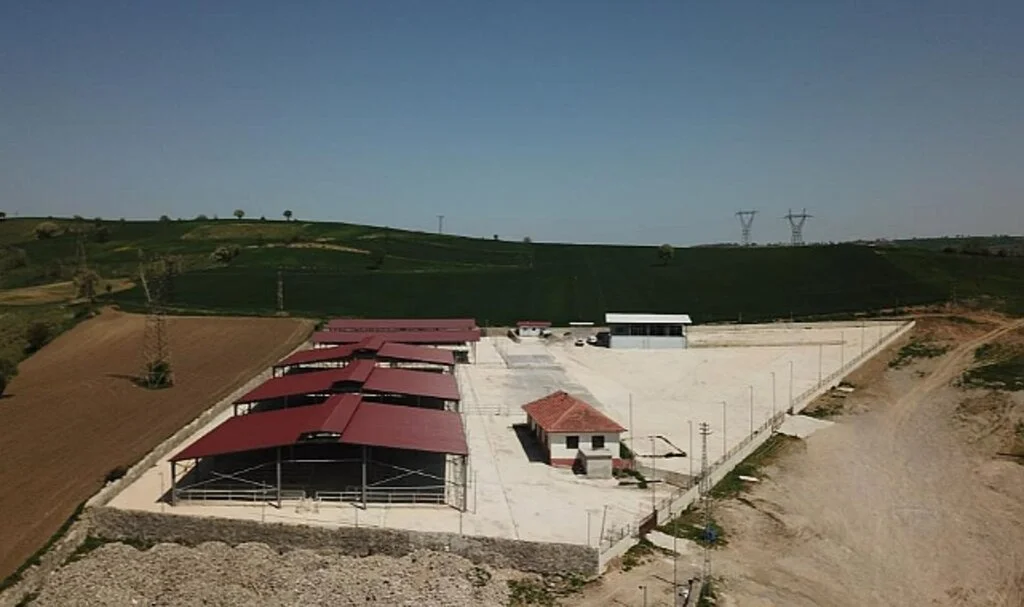 Samsun Şap Tehlikesi Pazar Kapattırdı 