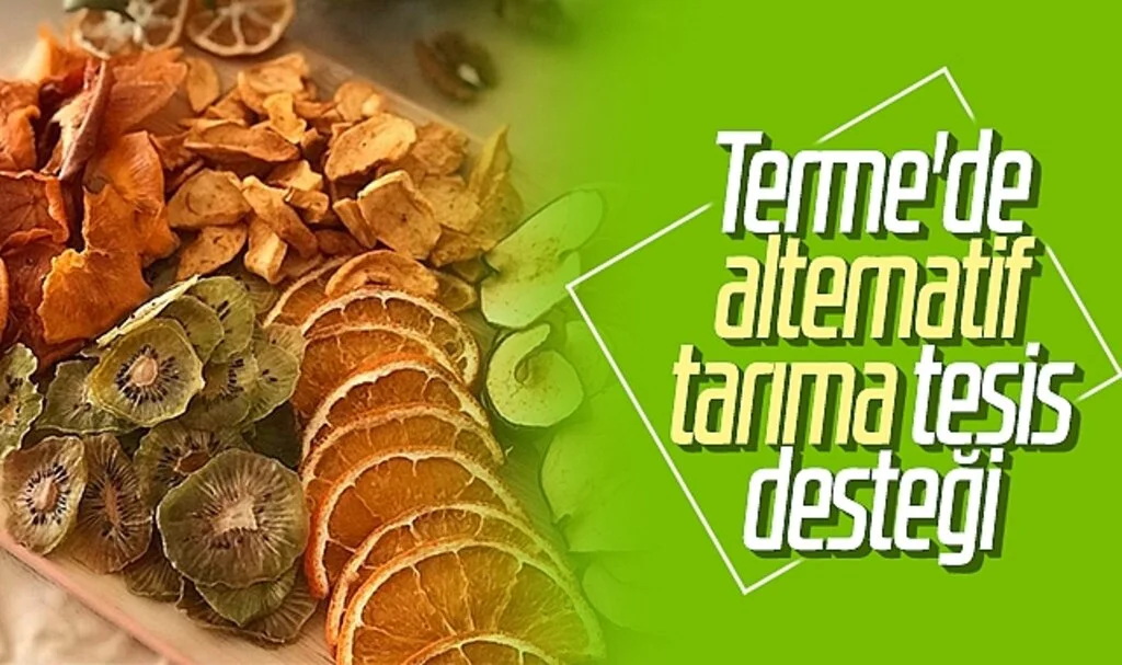 Terme'de Alternatif Tarıma Tesis Desteği