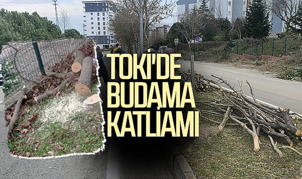 TOKİ'de budama katliamı