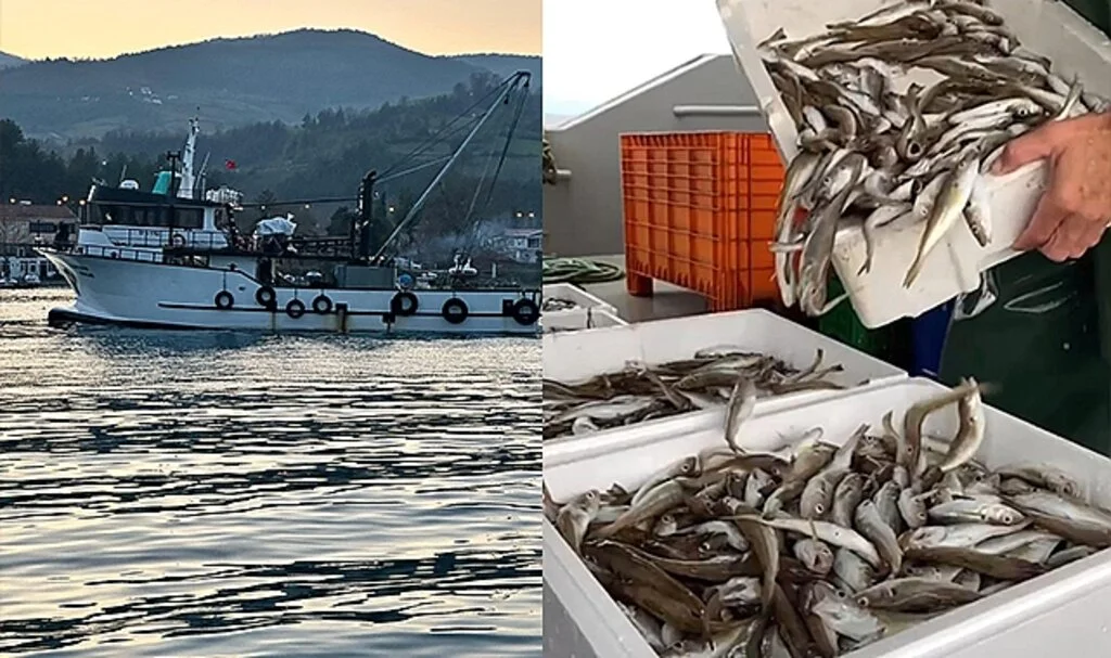 Yakakent'te Balıkçılar, Havanın Soğumasıyla Balık Avının Artmasını Bekliyor