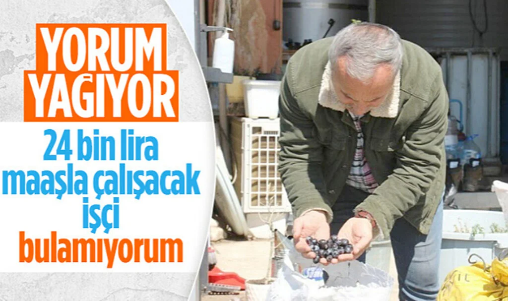 Aydın'da Çalışacak İşçi Bulamıyor! Hamal Ayda 24 Bin Lira Kazanıyor