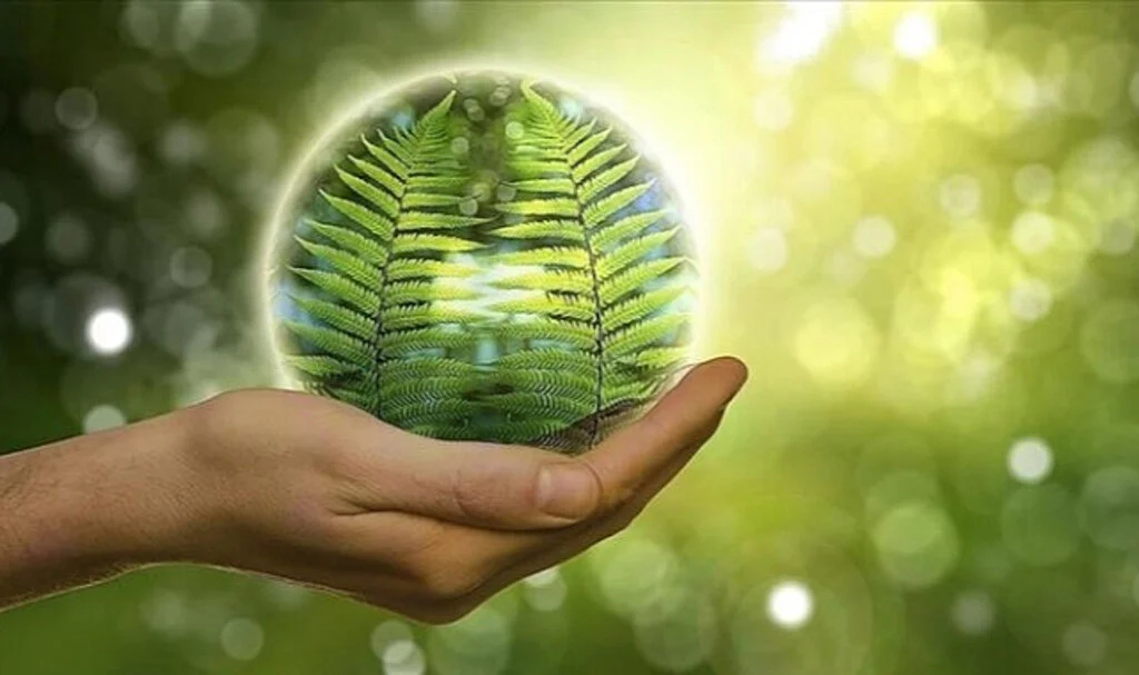 Bilim İnsanları Hidrojenden Elektrik Üretebilen Enzim Buldu