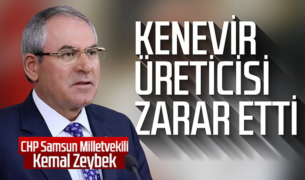 CHP Samsun Milletvekili Kemal Zeybek: Kenevir Üreticisi Zarar Etti