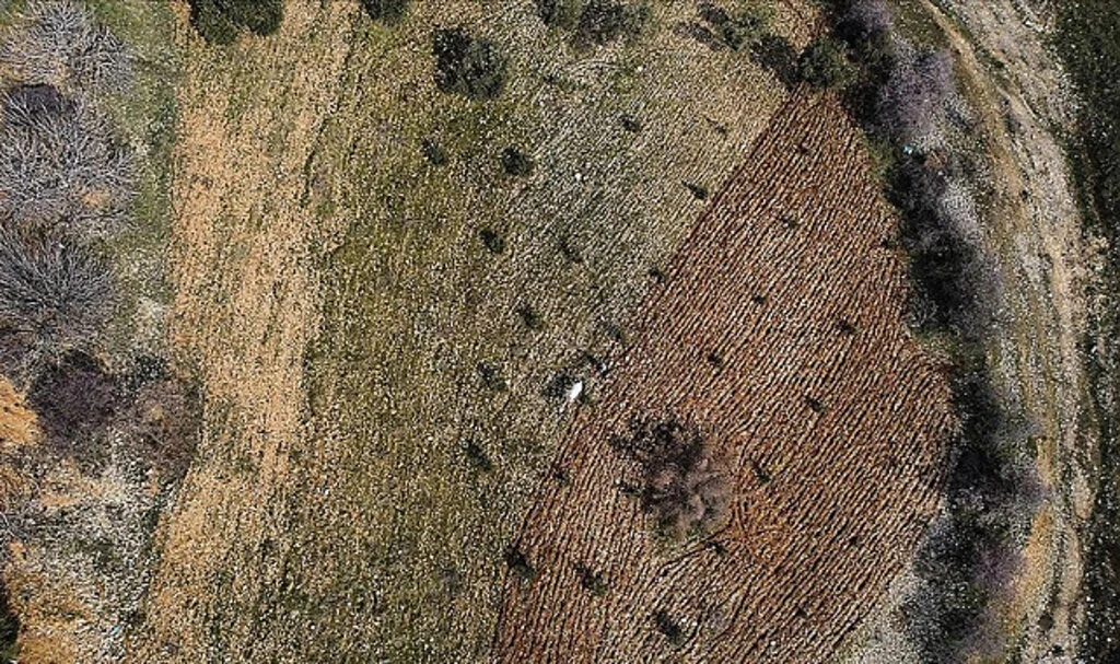 Deprem Bölgesinde Tarımsal Faaliyet Hareketleniyor