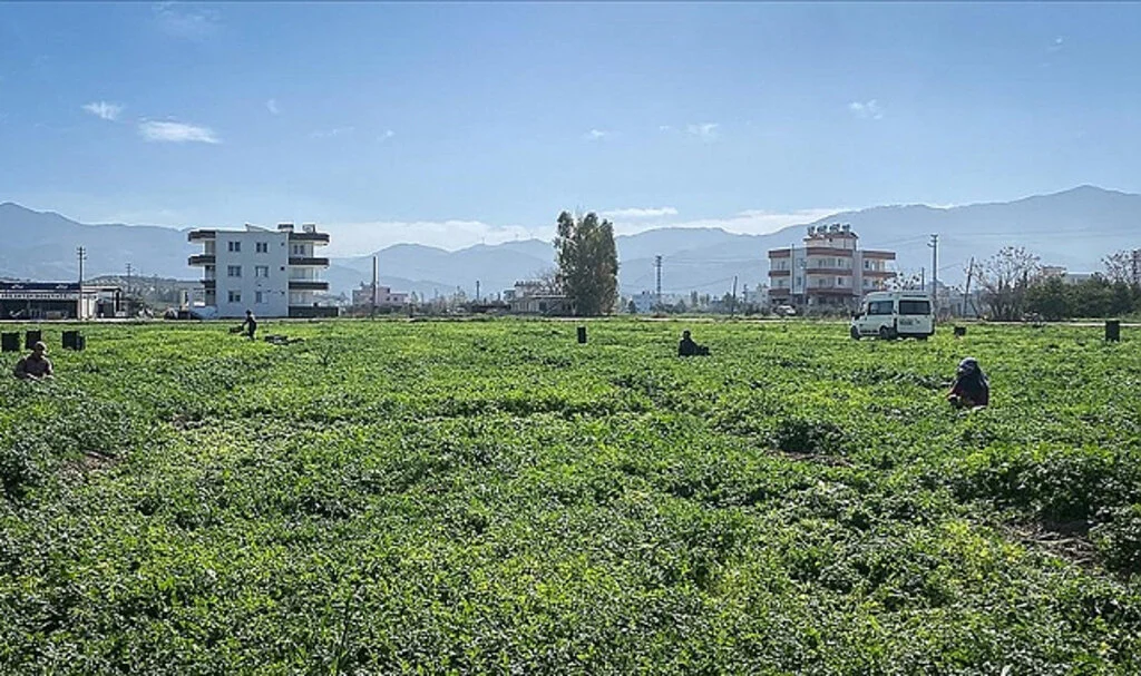 Depremzede Çiftçiye Yaklaşık 5 Milyar Liralık Destek Sağlandı