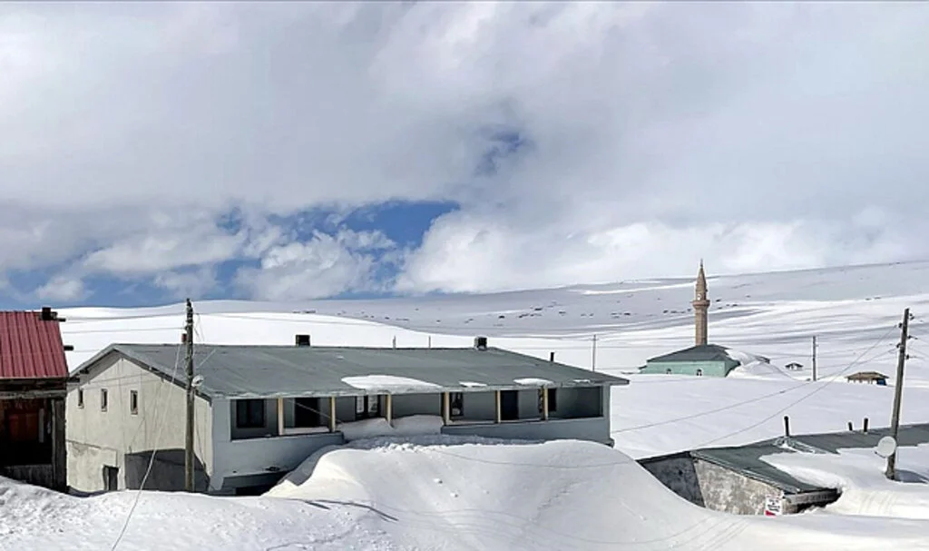 Doğu Anadolu'da Kar Yağışı Etkili Oluyor