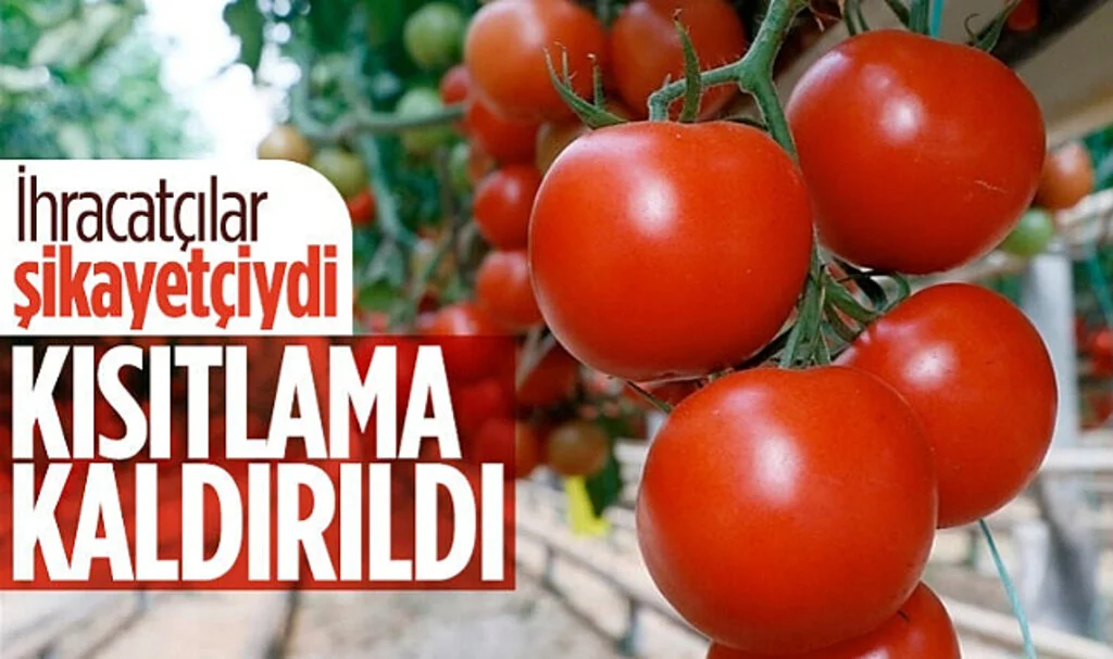Domateste İhracat Kısıtlaması Kaldırıldı