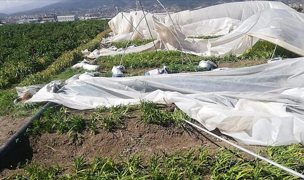 Fırtına Hatay'da Depremzedelerin Seralarına Zarar Verdi