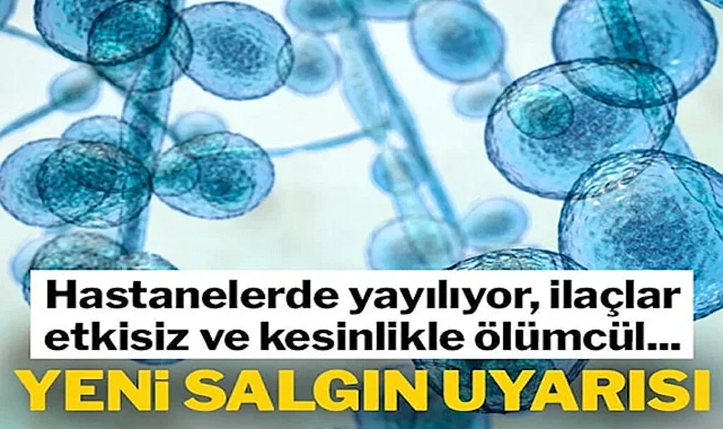 Hastanelerde Korkutan Artış: Öldürücü Mantar Salgını Patlak Verdi