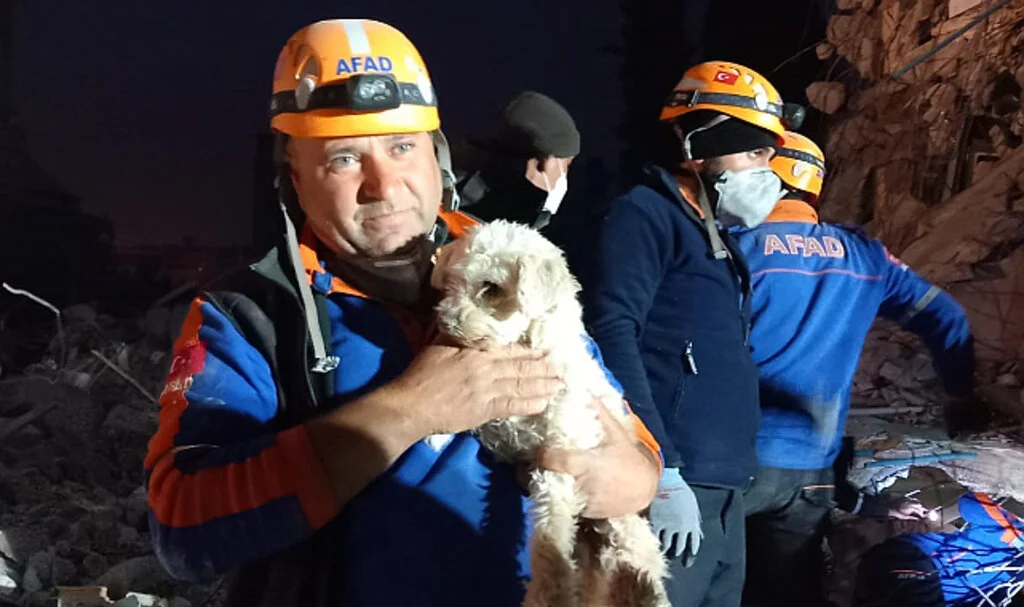 Hatay’da 25 gün sonra bir köpek enkaz altından sağ kurtarıldı
