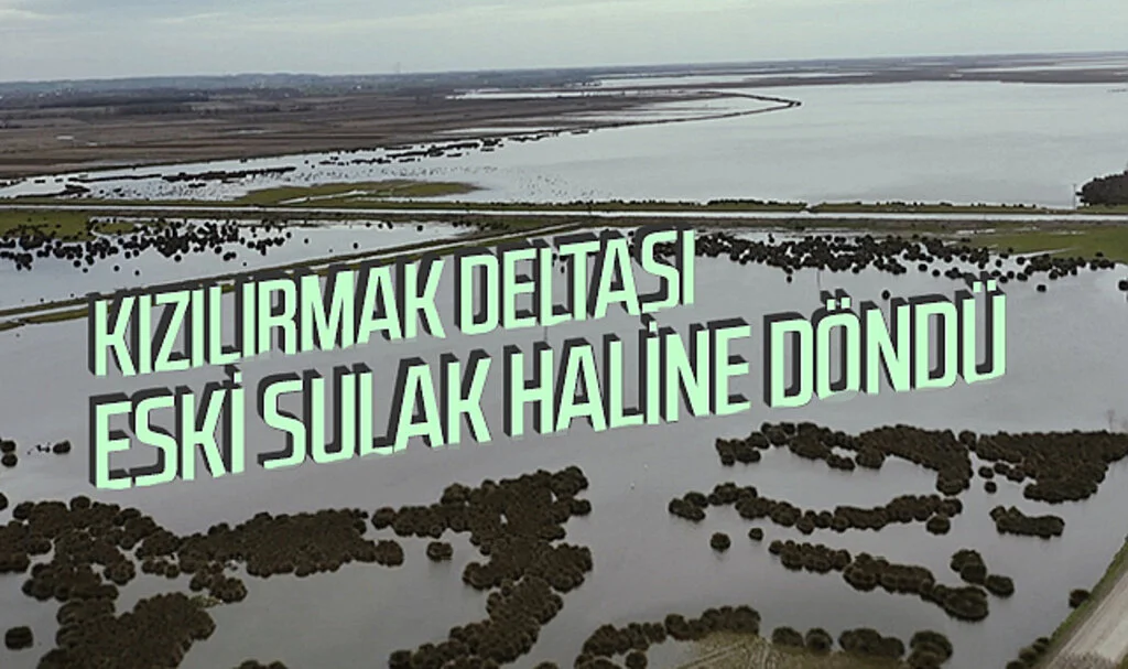 Kızılırmak Deltası eski sulak haline döndü