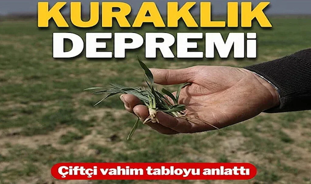 Kuraklık Yaşanan İzmir’de Çiftçi Tahıl Rekoltesinden Endişeli