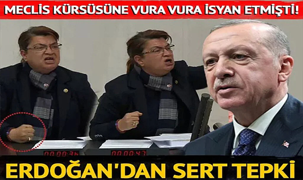 Meclis Kürsüsüne vura vura konuşmuştu! Cumhurbaşkanı Erdoğan'dan CHP Hatay Milletvekili Suzan Şahin'e sert tepki