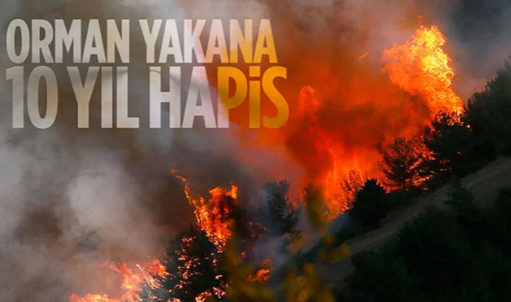 Orman Yangınlarına Neden Olanlara 10 Yıla Kadar Hapis Cezası