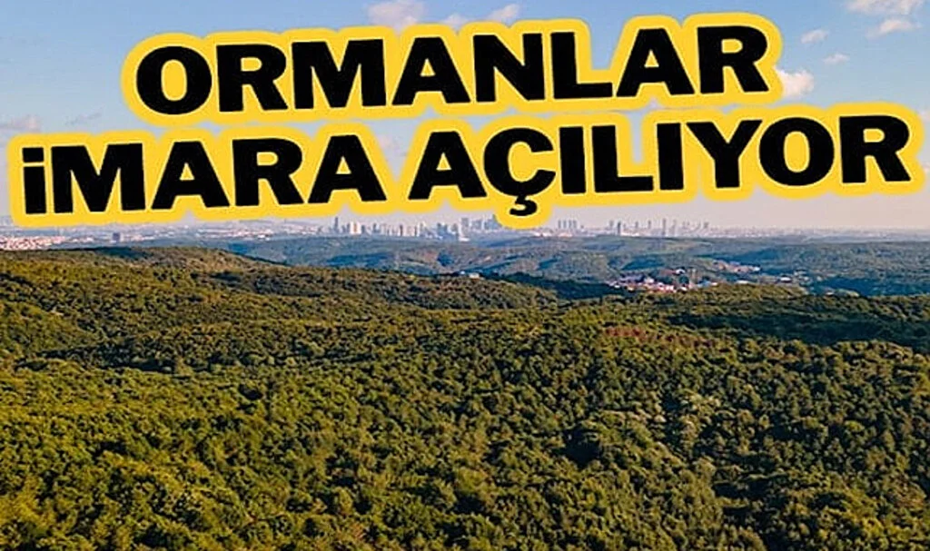 Ormanlar İmara Açılıyor