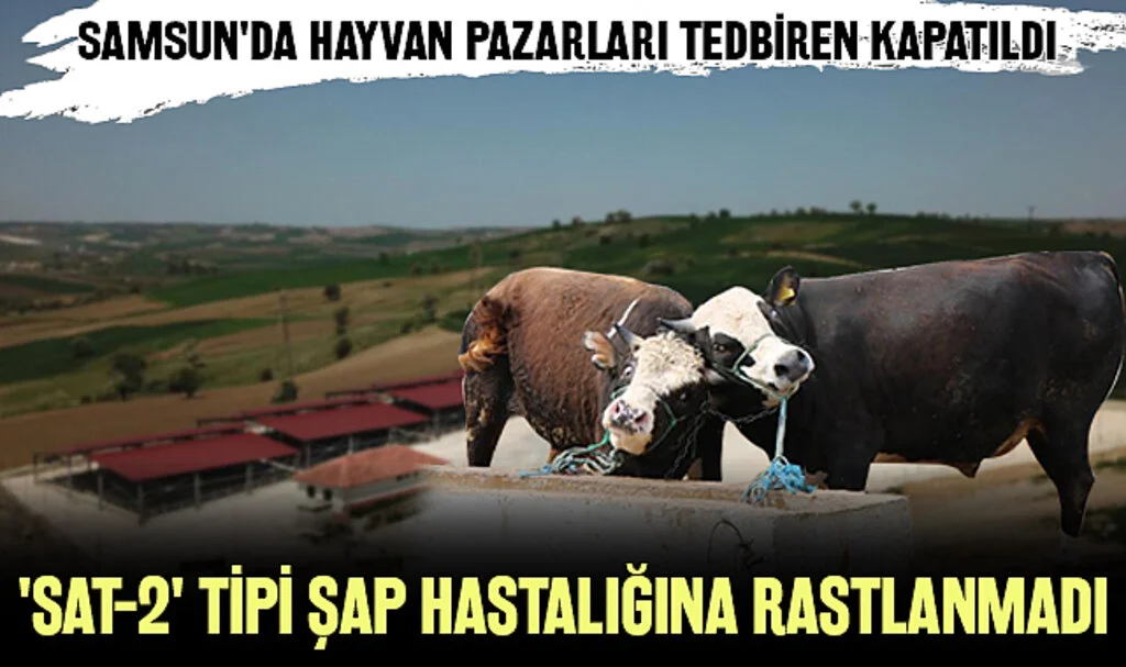 Samsun'da Hayvan Pazarları Tedbiren Kapatıldı, 'SAT-2' Tipi Şap Hastalığına Rastlanmadı