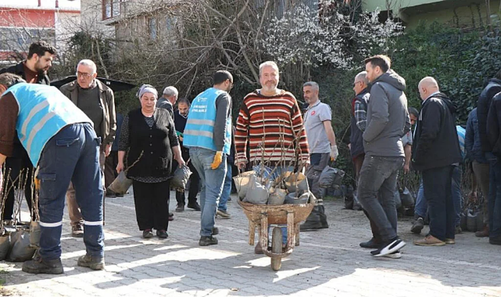 Samsun'da ‘Mor Patlıcan İnciri' Fidanları Üreticilere Dağıtıldı